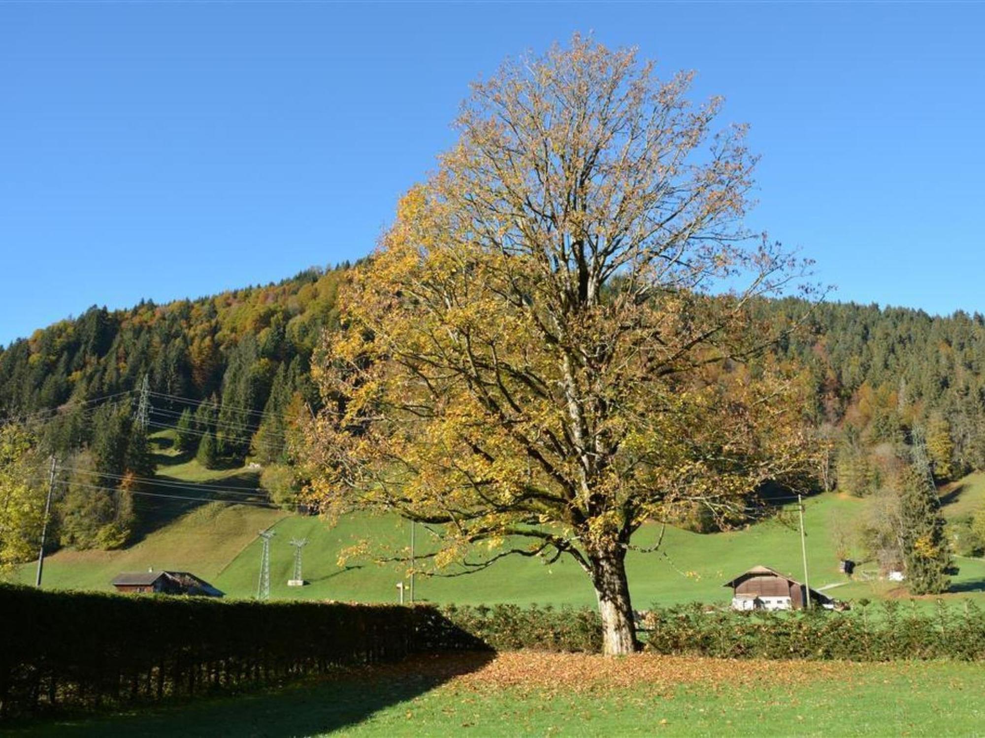 Apartment Oberland Nr- 3 By Interhome Gstaad Extérieur photo